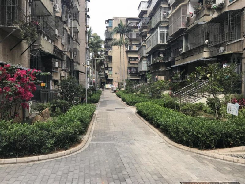 厦门图强路小区图片