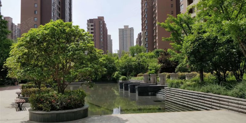 天地源枫林意树