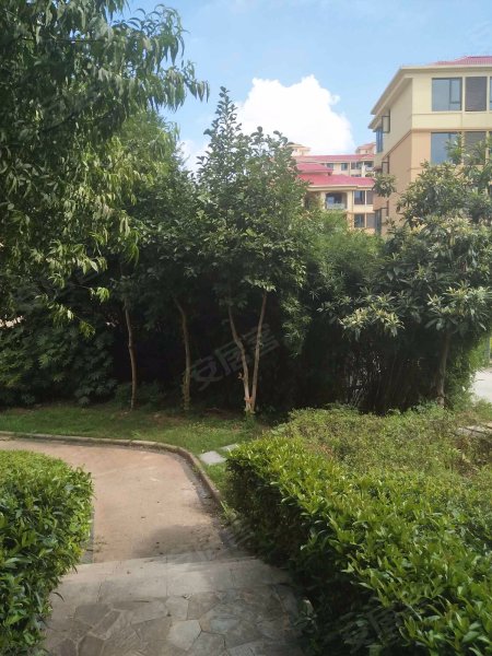 听涛观海,枫树一路-武汉听涛观海二手房,租房,房价-武汉安居客