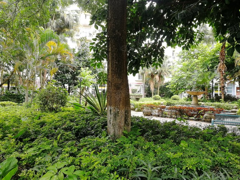 阳光假日,长泰路-东莞阳光假日二手房,租房,房价-东莞安居客