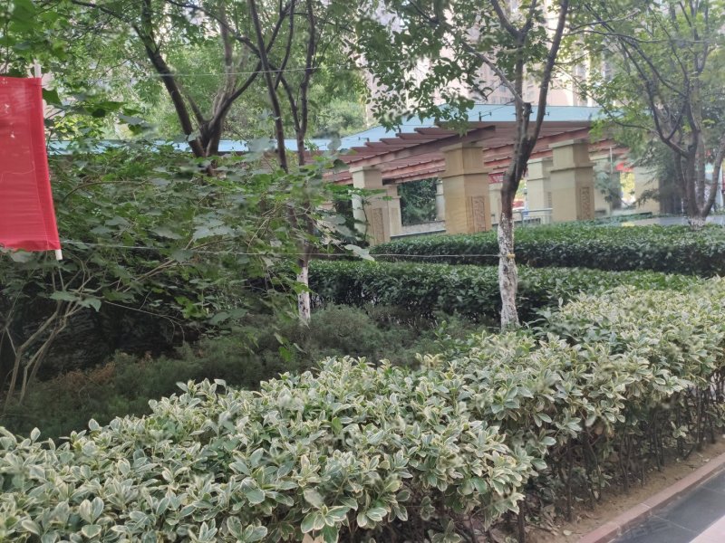 康桥林语镇,双湖大道-郑州康桥林语镇二手房,租房,房价-郑州安居客