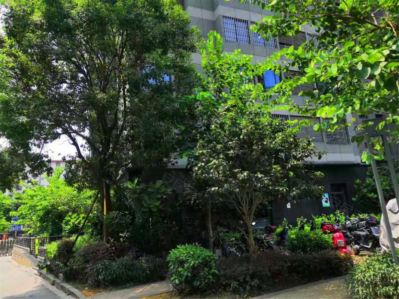 世欧王庄十一区