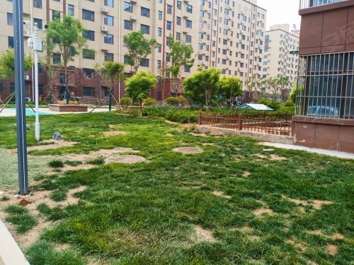 府前花园,政府街,近府东路 - 莘县府前花园二手房,租房,房价-莘县安居