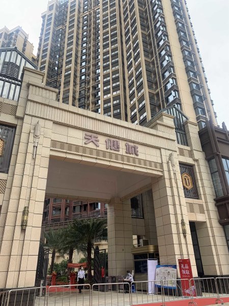 天健城,新阳路296-1号-南宁天健城二手房,租房,房价-南宁安居客