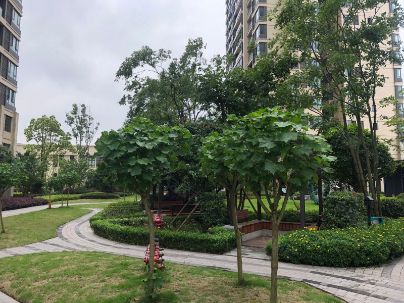 金科岭上(c区),悦科路3号-重庆金科岭上(c区)二手房,租房,房价-重庆