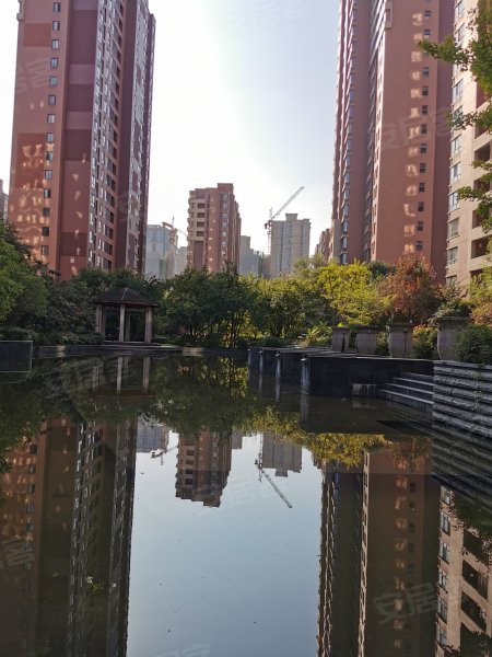 天地源枫林意树