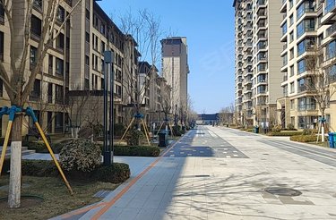 华润置地公元九里