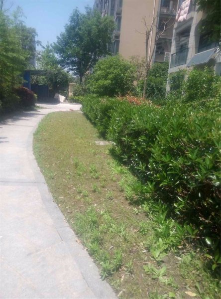 义蓬名苑,青六线58号-杭州义蓬名苑二手房,租房,房价-杭州安居客