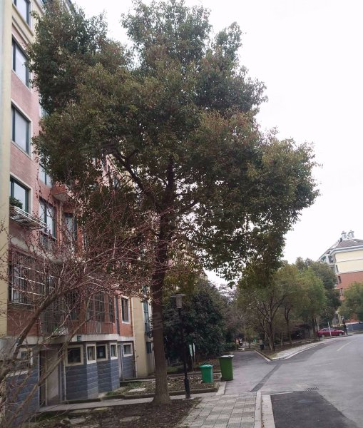 风和丽苑,钱江东路99号-海宁风和丽苑二手房,租房,房价-海宁安居客