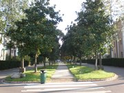 三环内财大旁水蓝郡联排别墅出售前后带花园