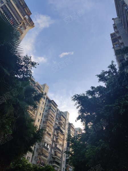 福湾新城夏雨苑b区