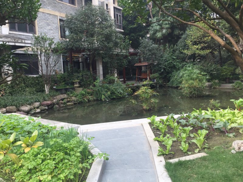 舜苑,草堂路9号-成都舜苑二手房,租房,房价-成都安居客