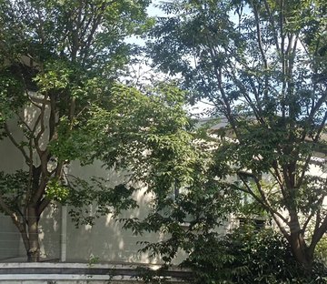 东方庭院