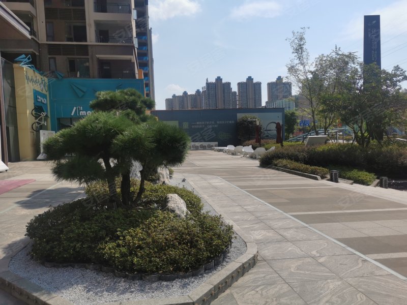 中泰天境,杨柳路58号-衡阳中泰天境二手房,租房,房价-衡阳安居客