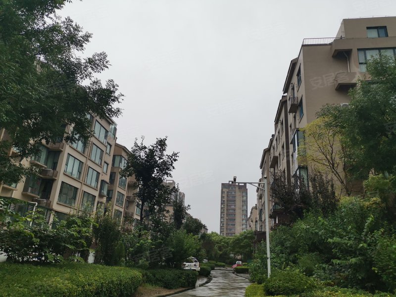 华安庭岸风景,向阳路1566号-潍坊华安庭岸风景二手房,租房,房价-潍坊