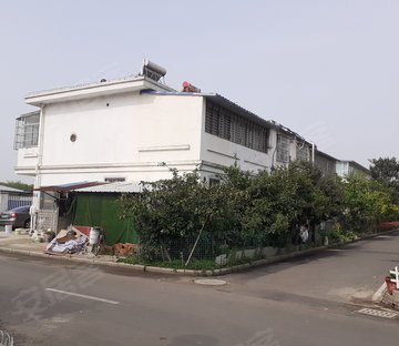 梅园小区靠吾悦,南北通透东边户