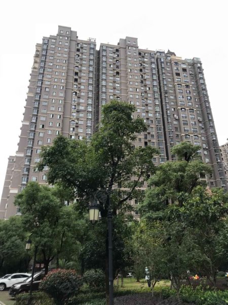 东方名苑(岳塘)