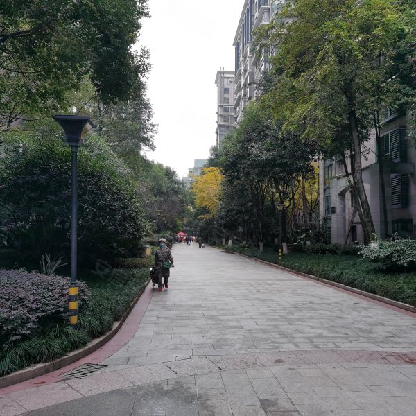 神仙树大院,紫荆西路6号-成都神仙树大院二手房,租房,房价-成都安居客