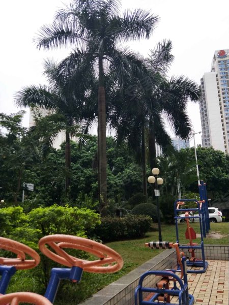 香江花园,古城路39-1号-南宁香江花园二手房,租房,房价-南宁安居客