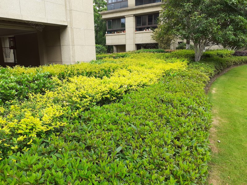 滨江稽山翡翠园