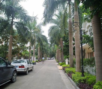 华南碧桂园盈峰翠庭