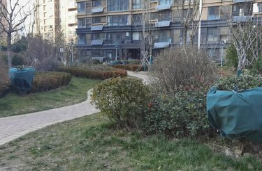 上大阳光乾心园