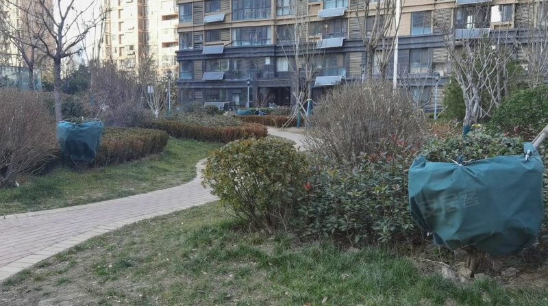 新顾村大家园C区 