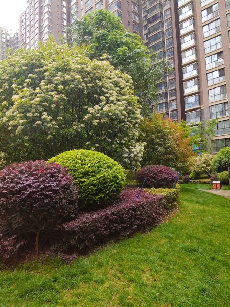 南阳博雅苑小区