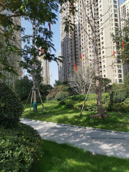 绿都紫荆华庭晴园