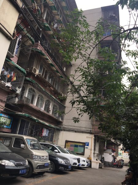 和谐苑(锦江),横丁字街45号-成都和谐苑(锦江)二手房,租房,房价-成都