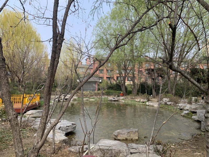 泰山新湖绿园,府东路1号-泰安泰山新湖绿园二手房,租房,房价-泰安安居