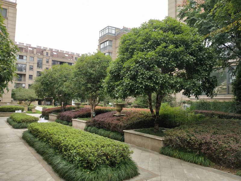 枫丹白露,新元路132号-衢州枫丹白露二手房,租房,房价-衢州安居客