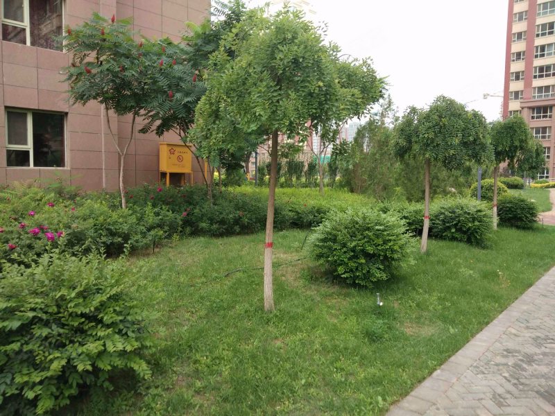 正丰御景湖城,宝湖路-银川正丰御景湖城二手房,租房,房价-银川安居客