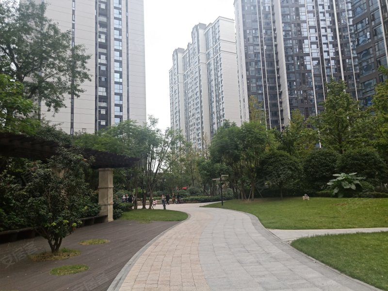戛纳湾金棕榈,协和下街588号-成都戛纳湾金棕榈二手房,租房,房价-成都
