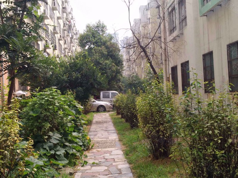 河洛世家芳华苑