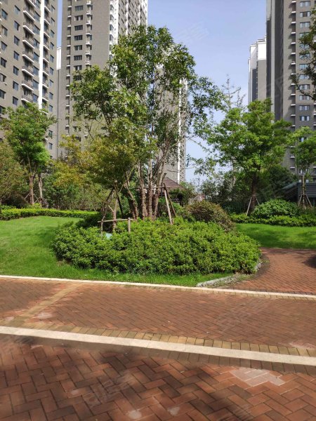 汇川大象城,瑞兴南路-邳州汇川大象城二手房,租房,房价-邳州安居客