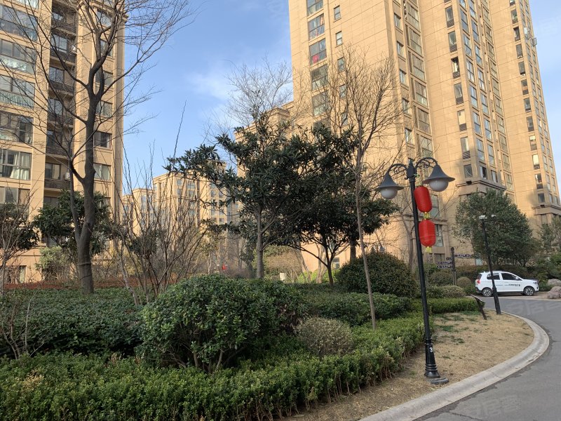 鼎立国际城h区,东京大道,近夷山大街-开封鼎立国际城h区二手房,租房