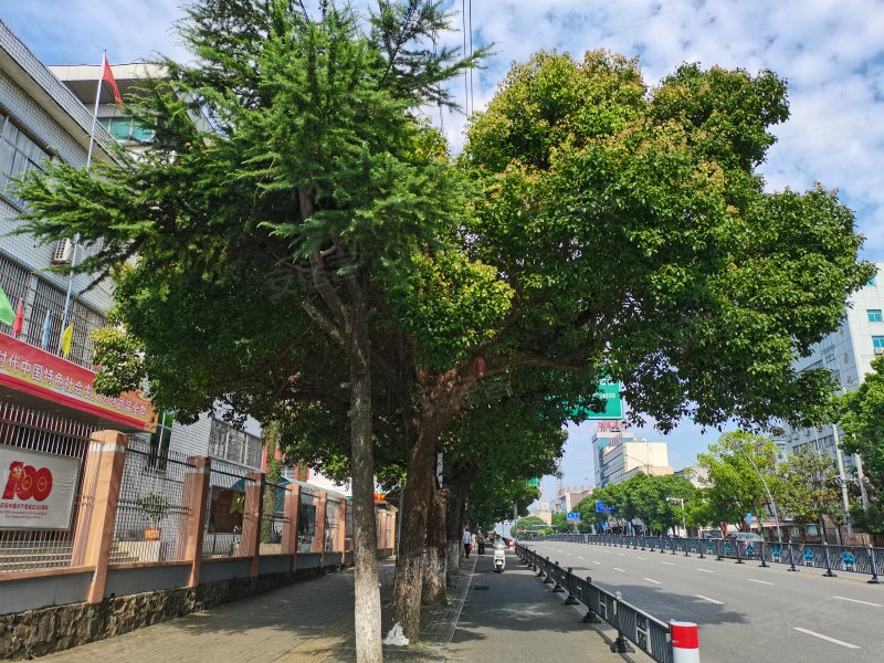 教育小区,龙山路-安庆教育小区二手房,租房,房价-安庆安居客