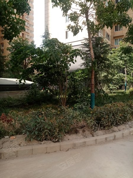 龙跃小区,开元大道-洛阳龙跃小区二手房,租房,房价-洛阳安居客