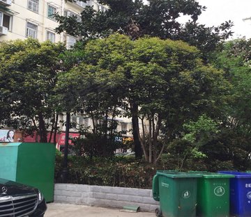 东方京城A区