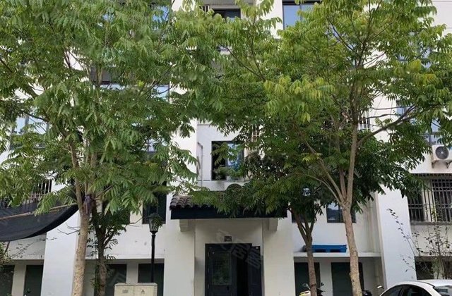 嘉兴房产网>嘉兴小区>海宁小区>斜桥镇小区>路仲文化苑>