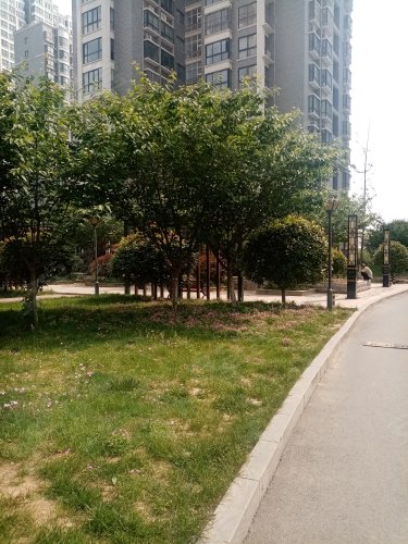 龙泰御花园馥郁城