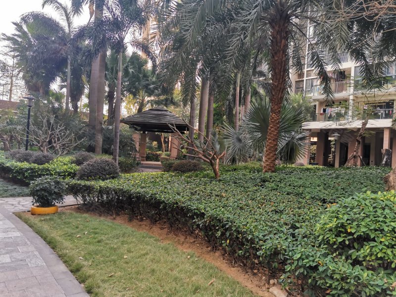 春泽名园,夏湾路280号-珠海春泽名园二手房,租房,房价-珠海安居客