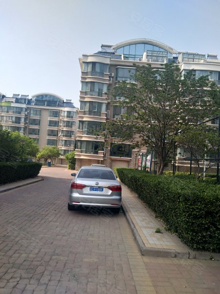 东方银座花园,济南路7号-东营东方银座花园二手房,租房,房价-东营安居