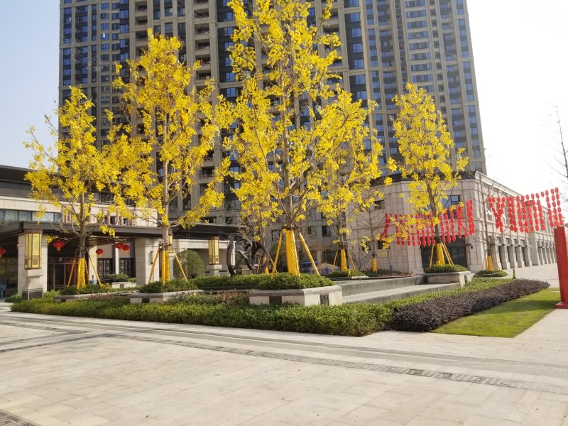 绿地国际博览城海珀九龙