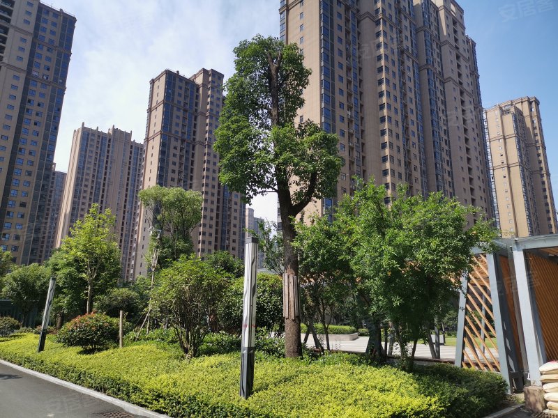 东方今典中央城(b区),新十一大道-信阳东方今典中央城(b区)二手房