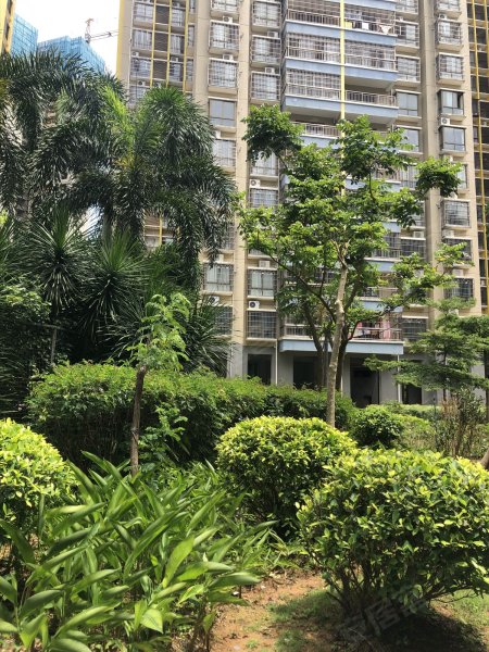 金鹿花园二期,勋亭路4号-海口金鹿花园二期二手房,租房,房价-海口安居