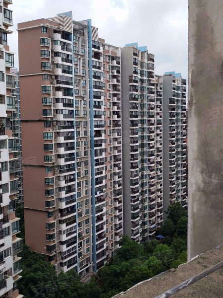 丽岛柳园(南区)