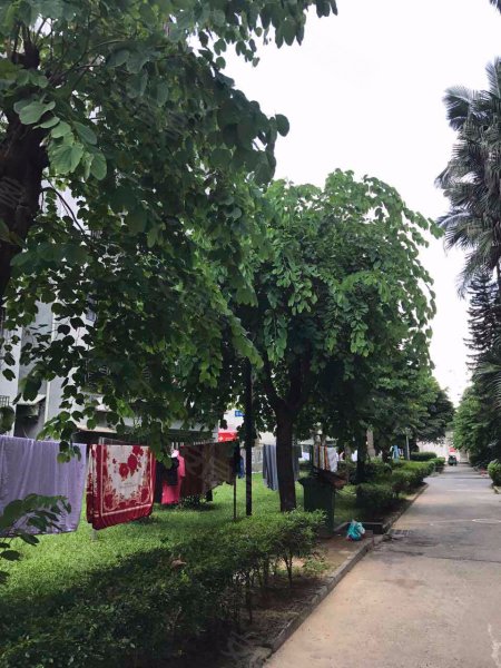 红荔村住宅区,振兴路22-7号-深圳红荔村住宅区二手房,租房,房价-深圳