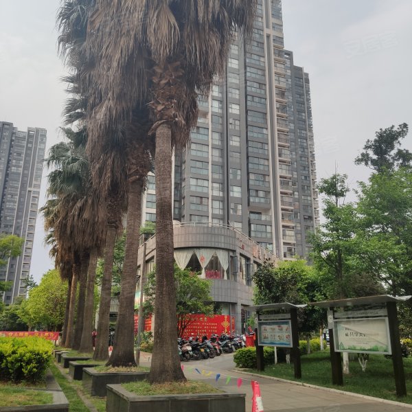 华飞新域盛景,海屯路266号-昆明华飞新域盛景二手房,租房,房价-昆明